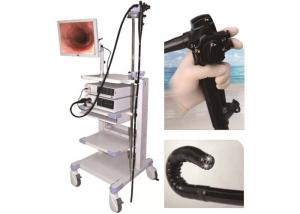 China 1630mm Video Colonoscopy Endoscopy , LED Cold Light Medical Endoscope With Monitor on sale