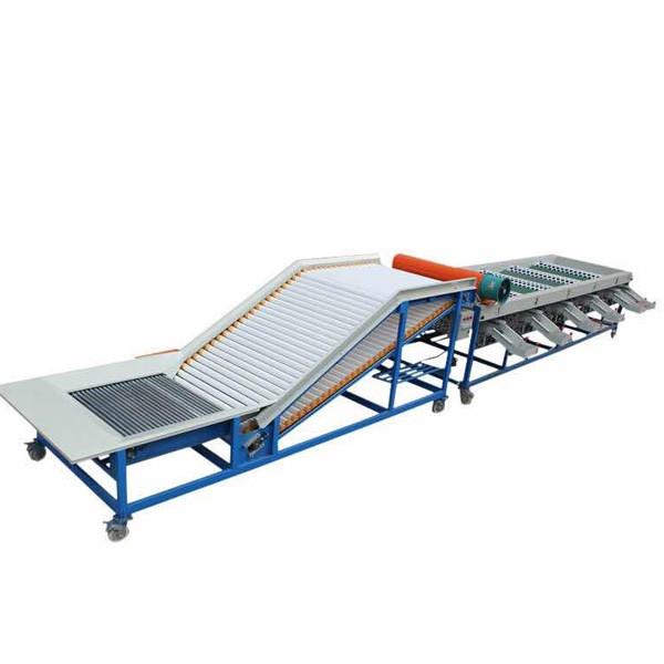 Cheap 8 Tons One Hour 6 Levels Automatic Garlic Fruit Grading Machine By Size for sale