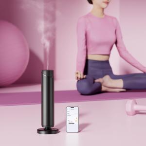 Best Waterless Scent Diffuser 1000 Sq Ft Coverage Hotel Scent Diffuser Essential Oil Diffuser wholesale