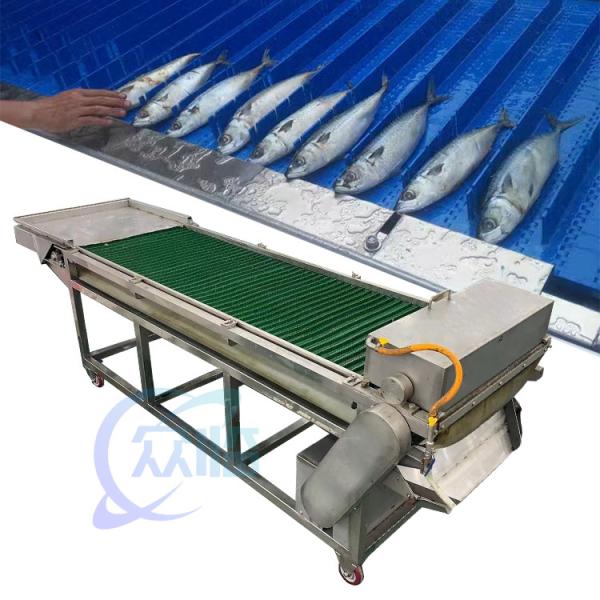Cheap fish processing dicing machine electric deheading machine for sale
