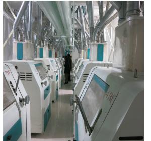 Precise Weight Control Instant Noodle Making Machine Excellent Drying Effect