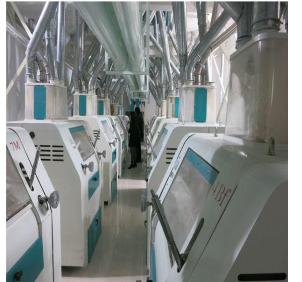 Cheap Precise Weight Control Instant Noodle Making Machine Excellent Drying Effect for sale