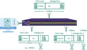Best Copper / Fiber Network Packet Broker With Packet Slicing Capability wholesale