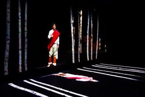 Custom HD Video Based 3d Holographic Projection System For Hologram Presentation