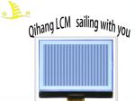 Customize Industrial Control 240160 COG Alphanumeric LCD Display Module