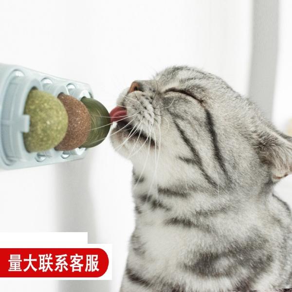 Cheap Catnip Balls 4pcs Cat Snack Lollipop Self Adhensive Wall for sale