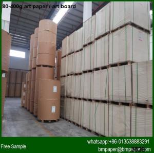 Best High-performance commonly glossy paper used printing wholesale