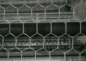 Best Electro Galvanized After Weaving Hexagonal Chicken Wire Mesh Netting wholesale