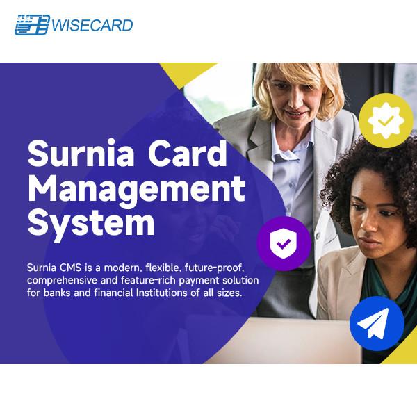 Cheap Configurable Card Management System With Automated Alerts Encryption And Customizable Workflows for sale