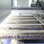 High Accuracy 8 lanes+8 outlets Chestnut Sorting Machine: Precise Sorting, Zero