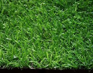 Best cheap landscaping artificial grass Popular in southeast Asia wholesale