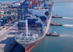 Best Sea Door To Door Overseas Shipping DDU From Guangzhou To Los Angeles wholesale
