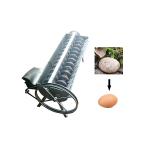 Egg Sorting Grading Machine Egg Grader,chicken egg sorting machine egg sorter