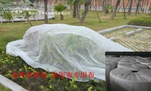 Best 100% Polypropylene Agriculture Non Woven Fabric Weed Control Ground Cover Net Mesh Cloth wholesale