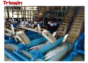 Best 1000 Tons / Day Pineapple Processing Line , Fruit Processing Plant Canned wholesale