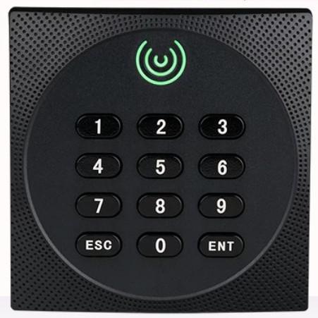 Cheap 125Khz / 13.56Mhz Access Control RFID Card Reader Standalone Pin Card for sale