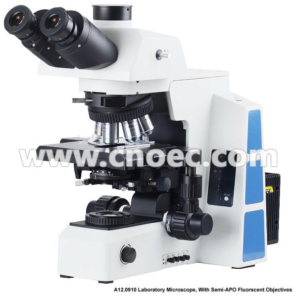 Cheap APO Trinocular Compound Optical Microscope with Halogen Lamp Illumination for sale