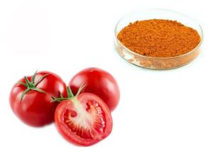 Best 6% 10% 20% Lycopene 502-65-8 Dehydrated Tomato Fruit Extract wholesale
