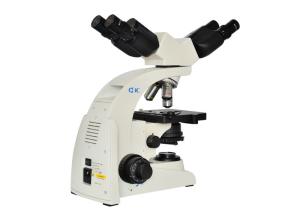China UOP UB104i Multi Viewing Microscope Edu Science Dual Viewer Microscope on sale