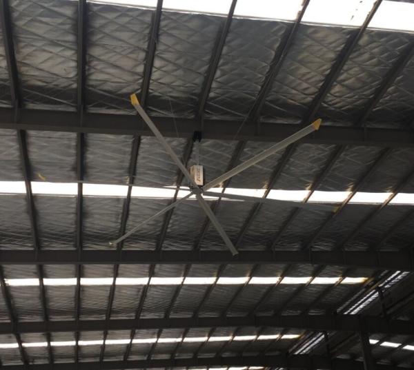 Cheap Workshop Ventilation High Volume Low Speed HVLS Ceiling Fan for sale