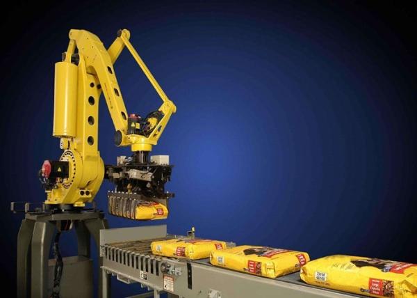 Cheap Fully Automatic Palletizer Machine Unmanned Automatic Palletizing System for sale