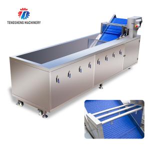 China SUS304 Ozone Treatment  Fruit And Vegetable Washing Machine Cherry Tomato on sale
