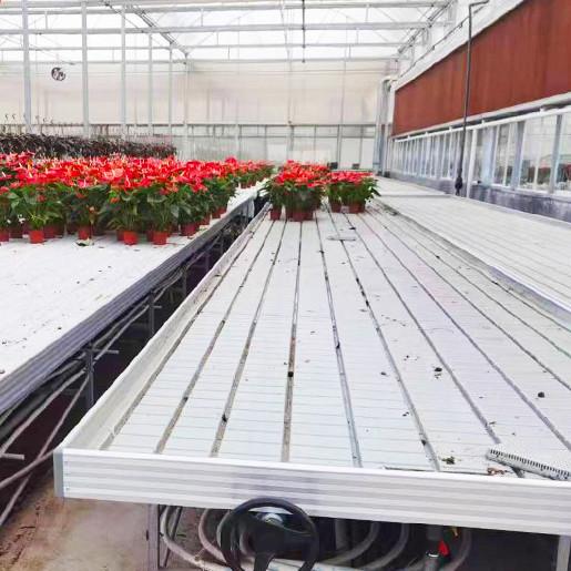 Cheap Practical Customizable Greenhouse Rolling Tables Movable Design Pc Sheet Cover for sale