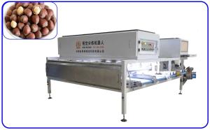 Best Size And Breakage Hazelnut Sorting Machine 12 Channel Computer Control wholesale