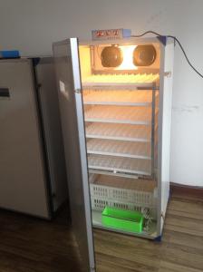 China 300 Turtle Small Poultry Egg Incubator For Chicken Eggs Self Turning Incubator on sale