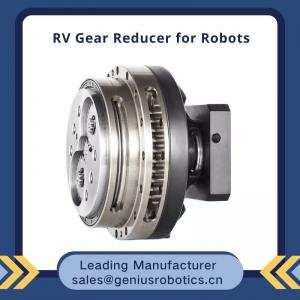Best Reliable Large Torque Cycloidal RV Gear Reducer RV-C RV-E For Rotary Table wholesale