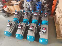 China Double Acting Pneumatic Valve Actuator Spring Return on sale