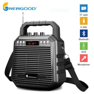 China Wireless Bluetooth Speaker Echo Recorder Portable Trolley Speaker UHF 2.4Ghz Wireless Headset Head Hook Handheld MIC on sale
