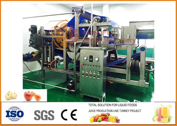 Cheap Automatic 10T/H Capacity Apple Juice Processing Line for sale