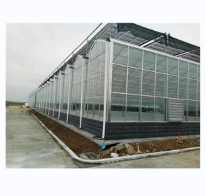 China Super Strong Resistance Venlo Glass Greenhouse for Commercial Agricultural Turnkey Project on sale