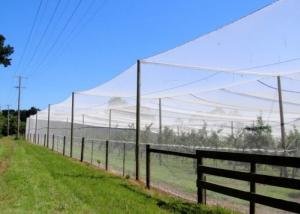 China Outside Insect Proof Mesh , Insect Mesh Protection Netting For Greenhouse 40 Mesh 16m Width Size on sale