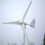 Top Wind Power System 3kw 10kw with Support PV Panels and Pre-sales Project