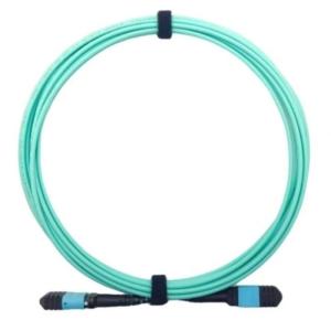 1 SC/FC/ST/LC MPO Fiber Optic Patch Cord for Single Mode and Multimode Connections