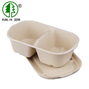 China Natural Color Biodegradable Disposable Tableware Plant Fiber Eco Friendly Food Packaging Boxes on sale