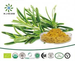 Best Safety Food Grade Ursolic Acid 98% Rosemary Extract Powder wholesale