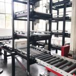 Multi Level Shuttles Miniload stacker crane ASRS automatic Box Picking and