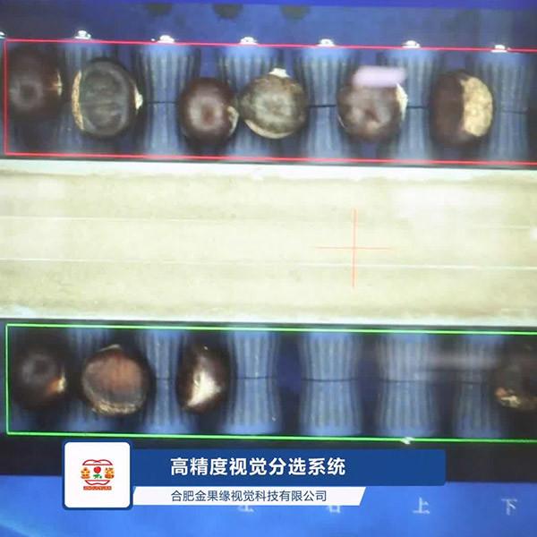 Cheap High Efficiency 2 Ton Output Chestnut Sorting Machine Low Air Consumption for sale