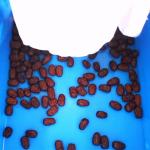 3 Ton/H Output 1-Year Warranty Red Dates Sorting Machine With CE Certificates