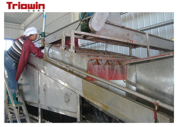 Cheap Concentrated Tomato Paste Making Machine , Tomato Sorting Machine With Pre Washing Unit for sale