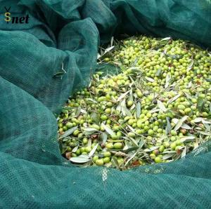 Best 5x10m 6x12m Fruit Collecting Net 100gsm Apple Collecting Net wholesale