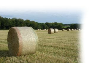 China Hdpe Raschel Knitted Round Bale Net Wrap , Agriculture Hay Bale Net on sale
