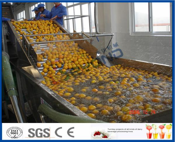 Cheap Energy Saving Orange Processing Line with Glass / PET Bottle Filling Machine for sale