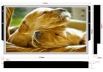 Embedded 10 10.1 Inch Open Frame USB Monitor IPS LCD With Full View Angle