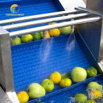 Customized Driven Pesticide Exclude Vegetable Processing Line , Centrifuging