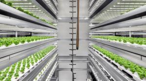 China Indoor Plant LED Grow Lights 3rd Generation Customized 100 Watt Full Spectrum Grow Light on sale