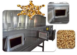China Touch Screen Industrial Microwave Dryer Corn Machine Controlled PLC Belt Type on sale